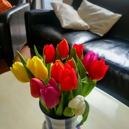 Schloss Gbr Ντίσελντορφ