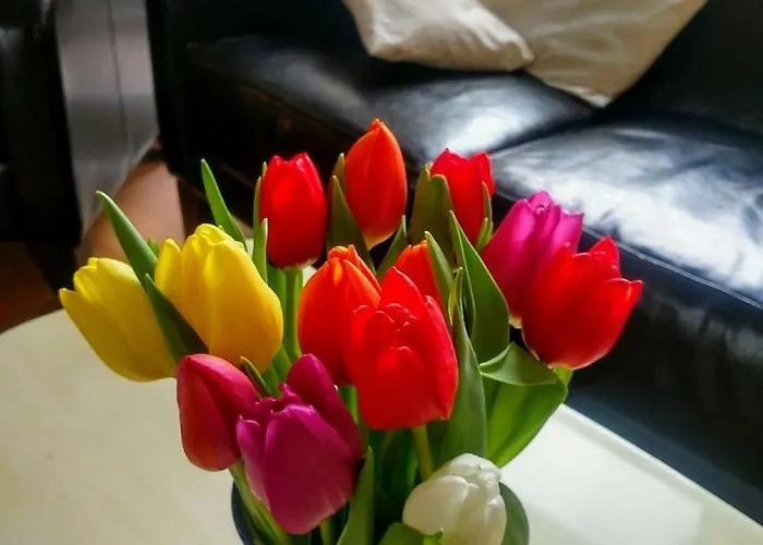 Schloss Gbr Düsseldorf